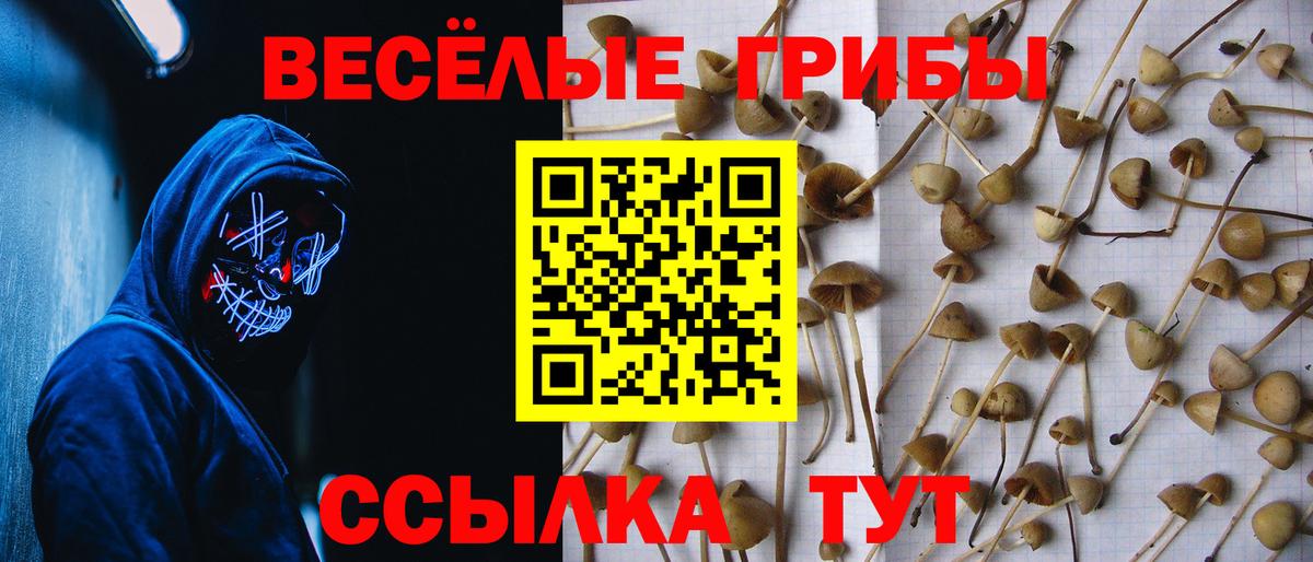 Галлюциногенные грибы Cubensis Красноярск