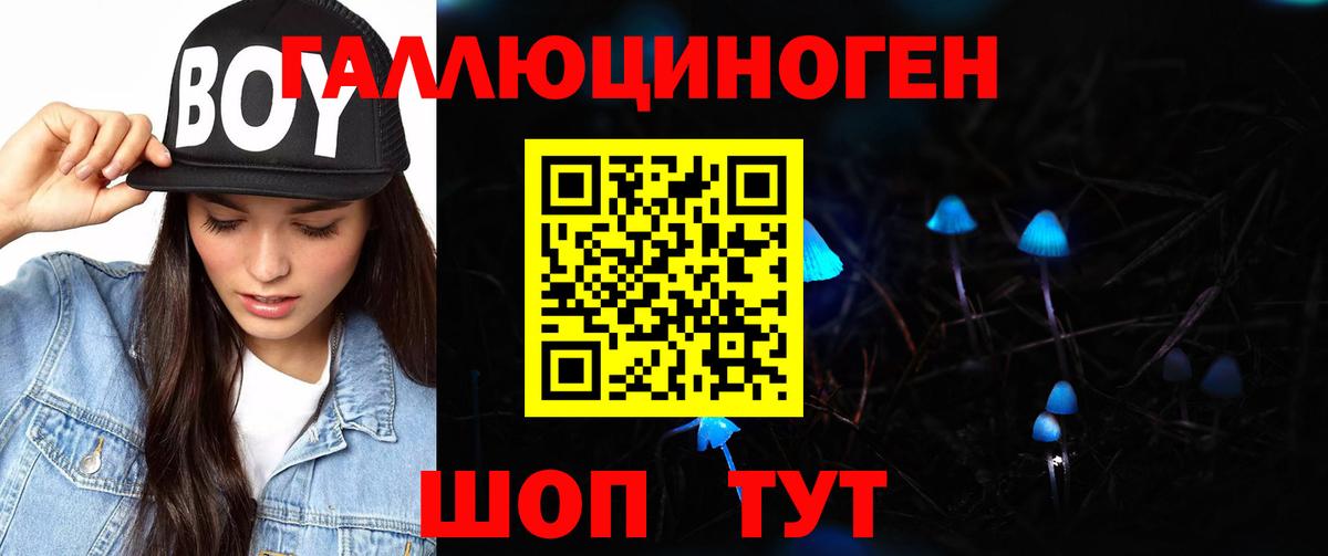 Красноярск  Псилоцибиновые грибы ЛСД  Вход с VPN 